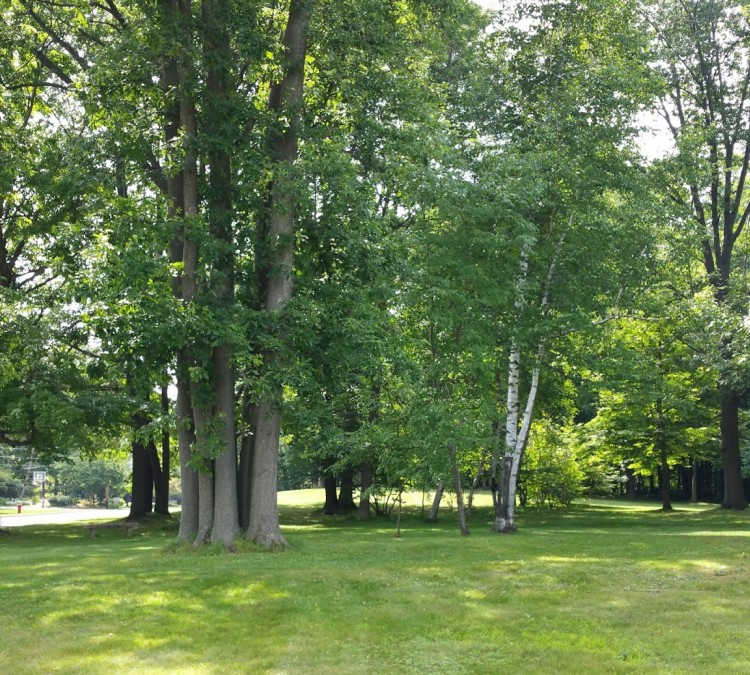Arboretum Park (Fremont,&nbspMI)
